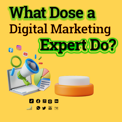 A digital marketing expert is responsible for developing and executing strategies to promote products, services, or brands through various online channels. Here are some key responsibilities of a digital marketing expert 