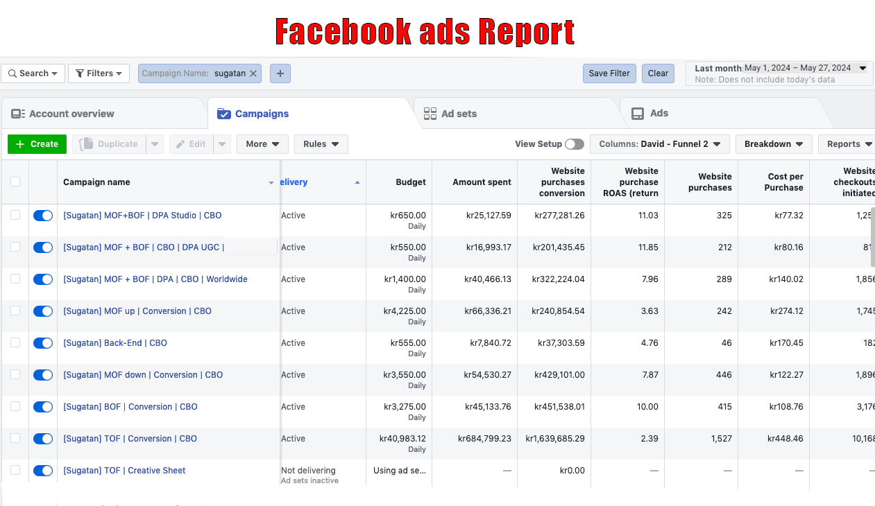 Rafiq Mia Facebook ads job report